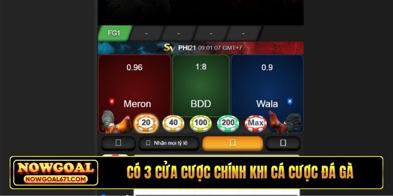 Có 3 cửa cược chính khi cá cược đá gà tại Nowgoal